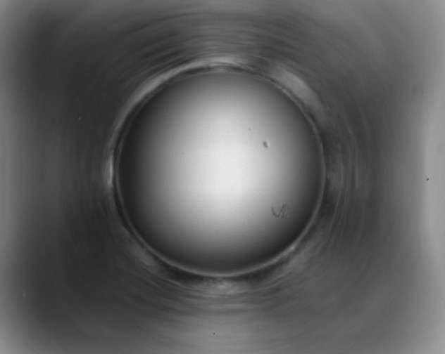 X0000088701420200706141422
