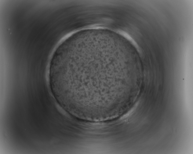 X0000088701421200706141422