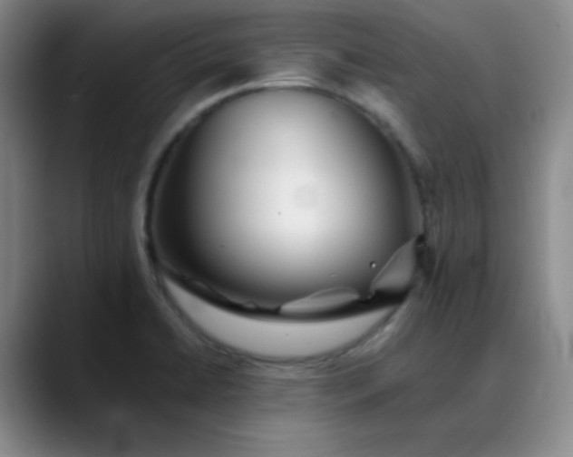 X0000088701422200706141422