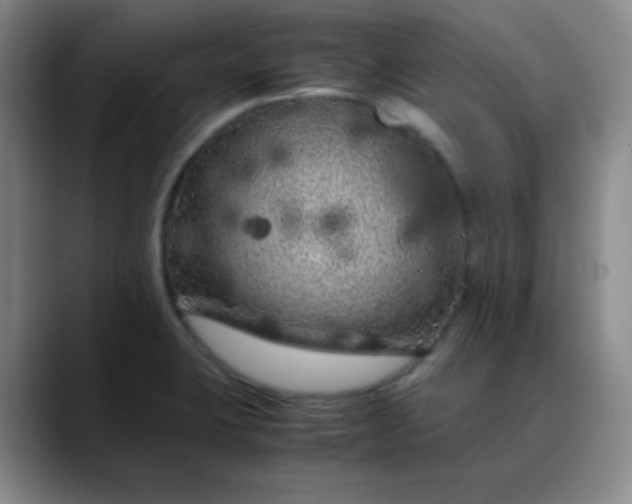 X0000088701423200706141422
