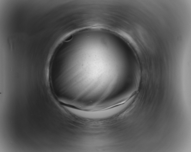 X0000088701424200706141422