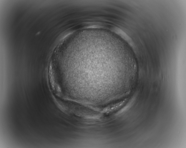 X0000088701425200706141422