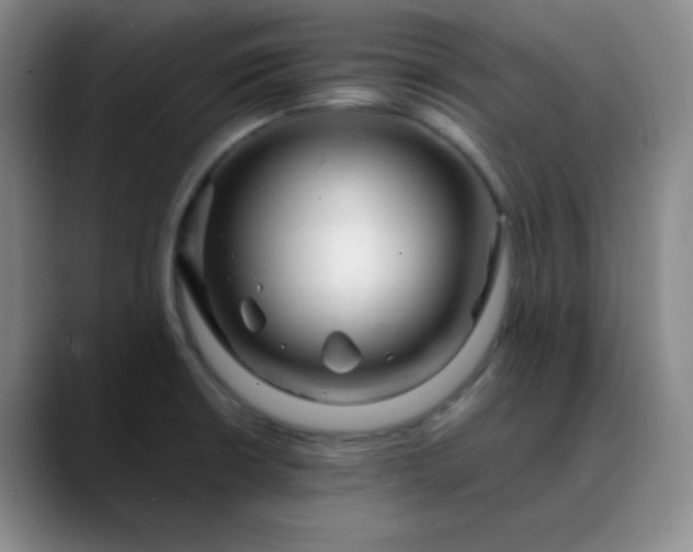 X0000088701426200706141422