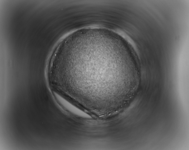 X0000088701429200706141422