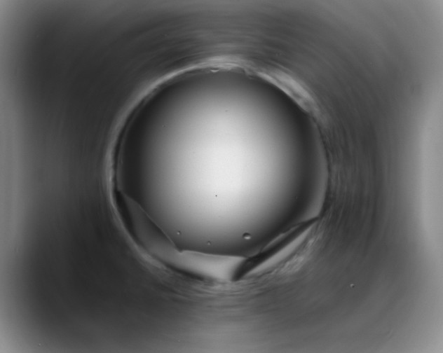 X0000088701430200706141422