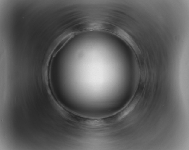 X0000088701434200706141422