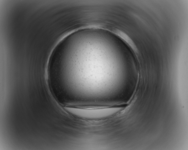 X0000088701436200706141422