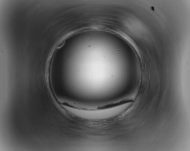 X0000088701437200706141422