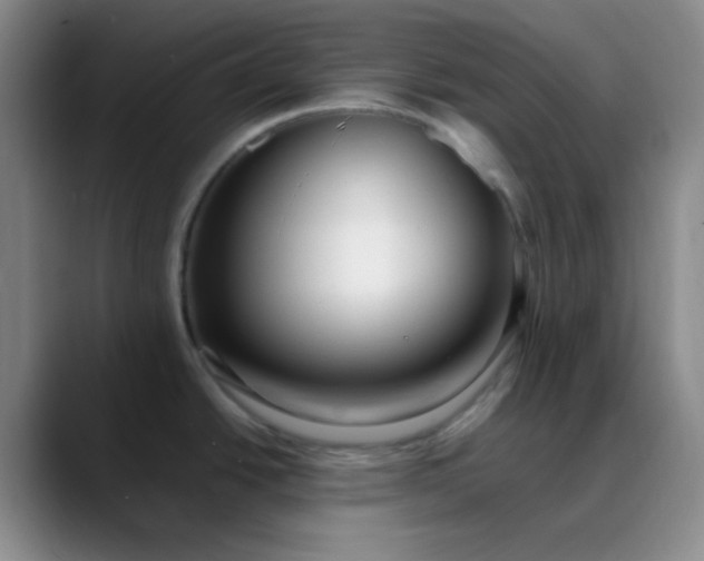 X0000088701438200706141422