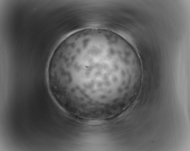 X0000088701440200706141422