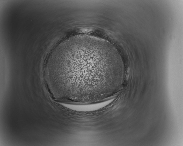 X0000088701441200706141422