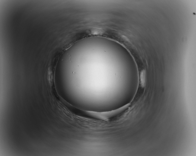 X0000088701443200706141422