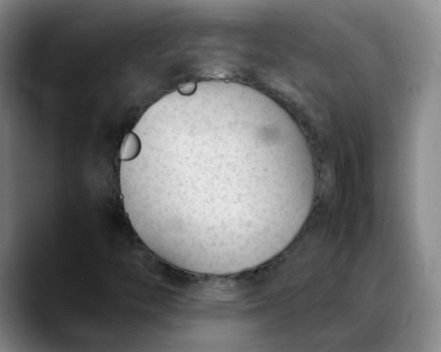 X0000088701446200706141422