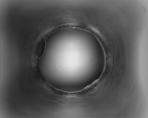 X0000088701448200706141421