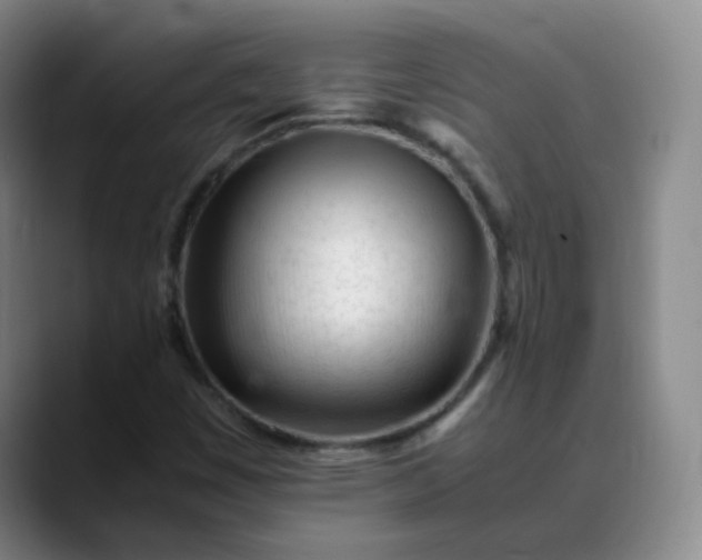X0000088701449200706141421