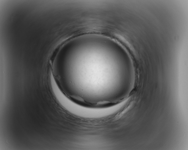 X0000088701453200706141421
