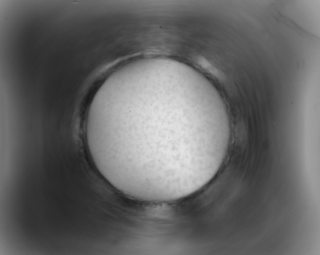 X0000088701454200706141421