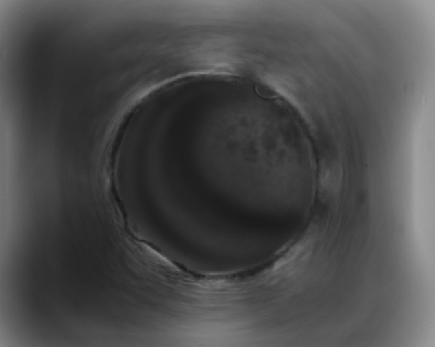 X0000088701455200706141421