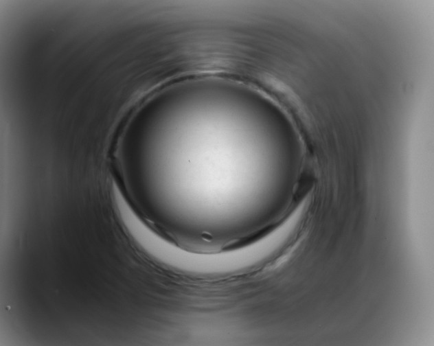 X0000088701457200706141421