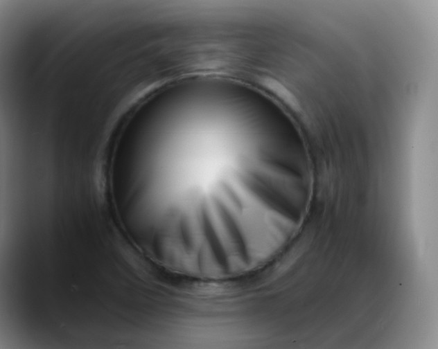 X0000088701458200706141421