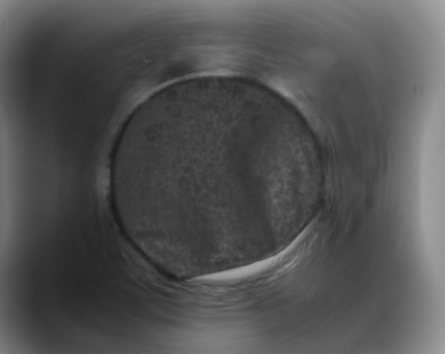 X0000088701459200706141421