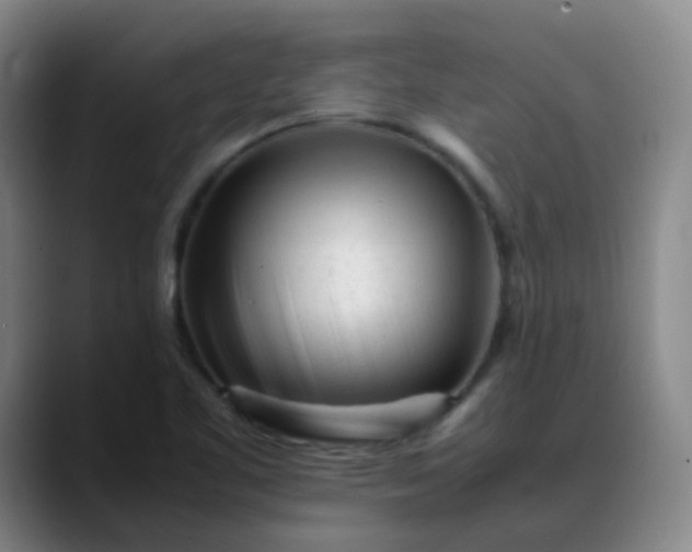 X0000088701461200706141421