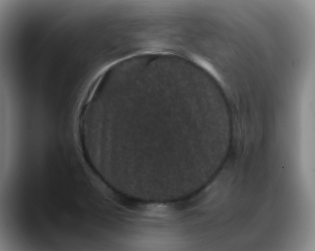 X0000088701463200706141421