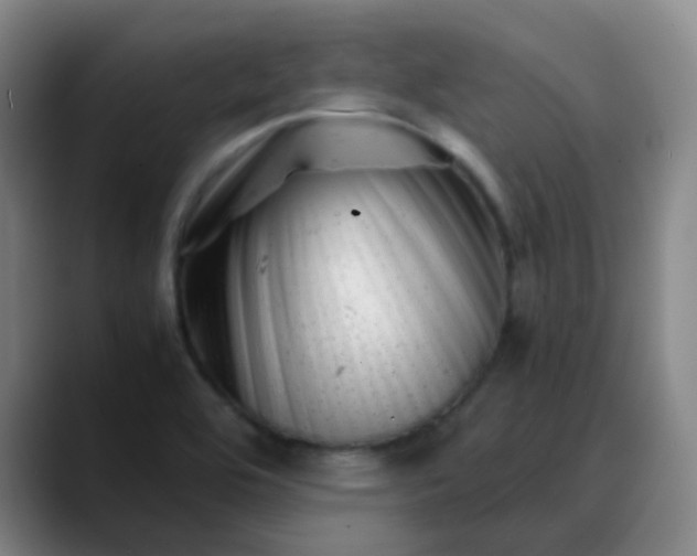 X0000088701464200706141421