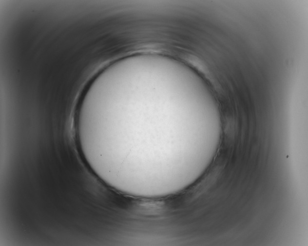 X0000088701466200706141421