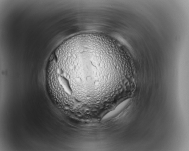 X0000088701467200706141421