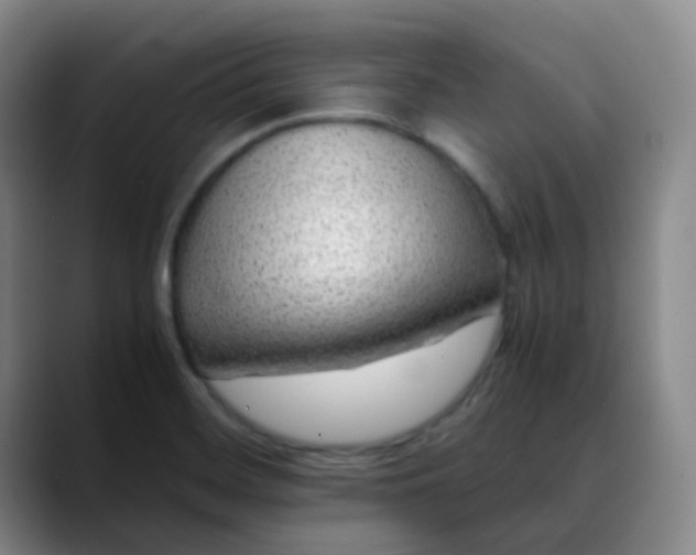 X0000088701468200706141421