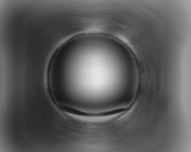 X0000088701469200706141421
