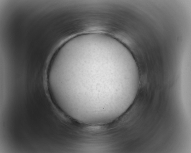 X0000088701470200706141421