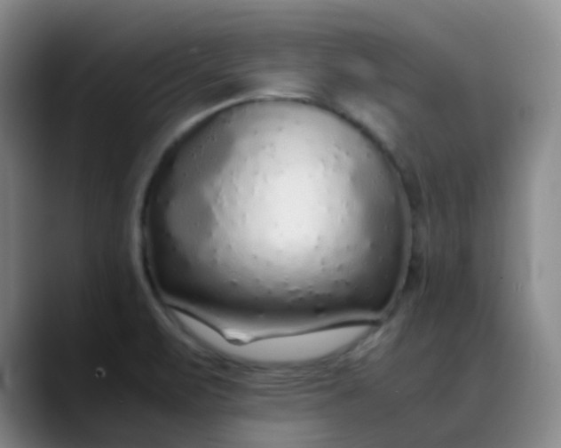 X0000088701471200706141421