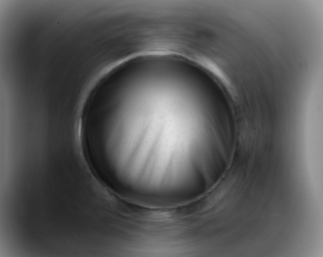 X0000088701472200706141421