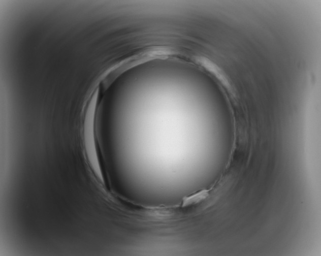 X0000088701473200706141421