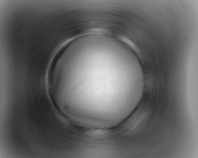 X0000088701474200706141421