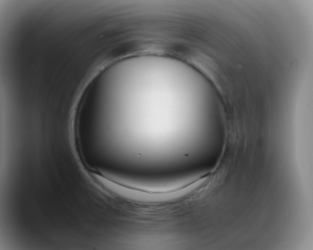 X0000088701475200706141421