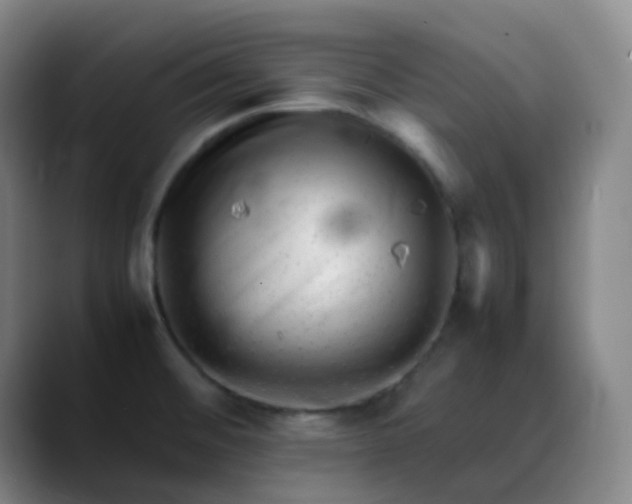 X0000088701476200706141421
