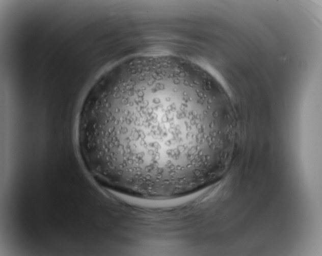 X0000088701477200706141421