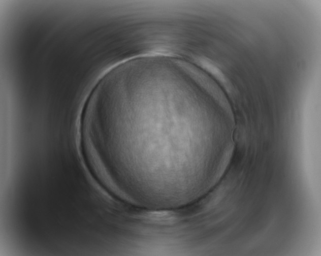 X0000088701479200706141421