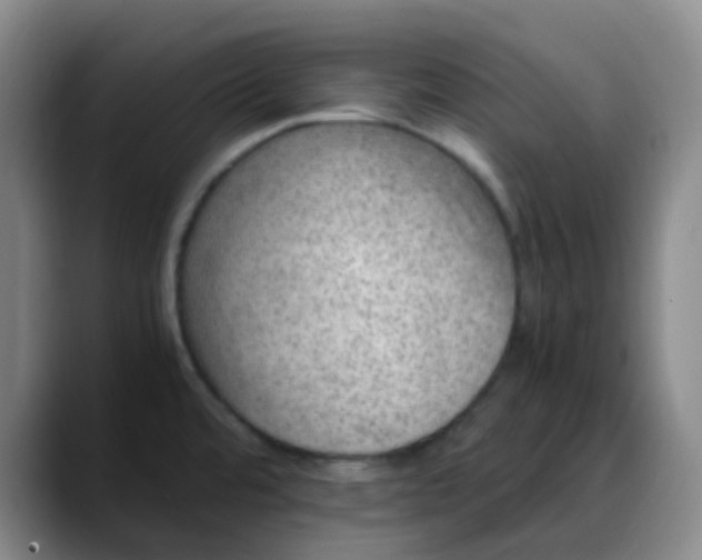 X0000088701480200706141421