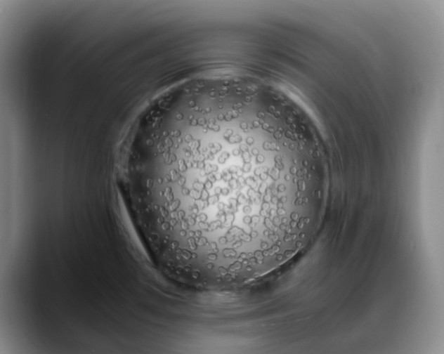 X0000088701481200706141421