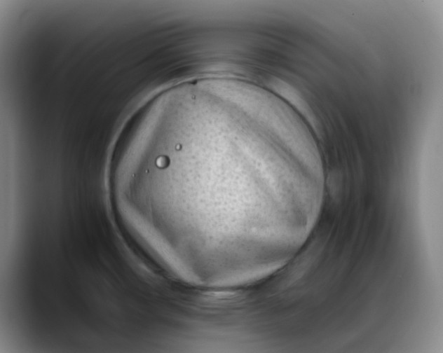 X0000088701482200706141421