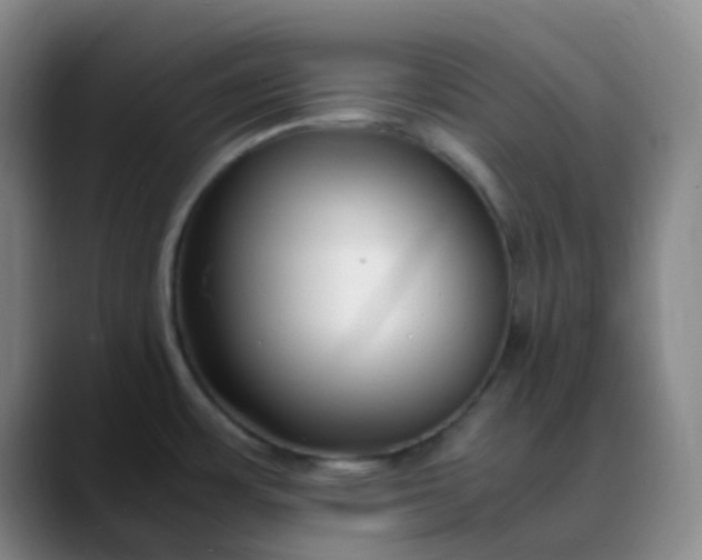 X0000088701483200706141421