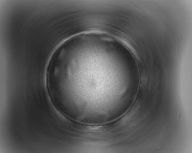 X0000088701484200706141421