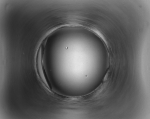 X0000088701485200706141421