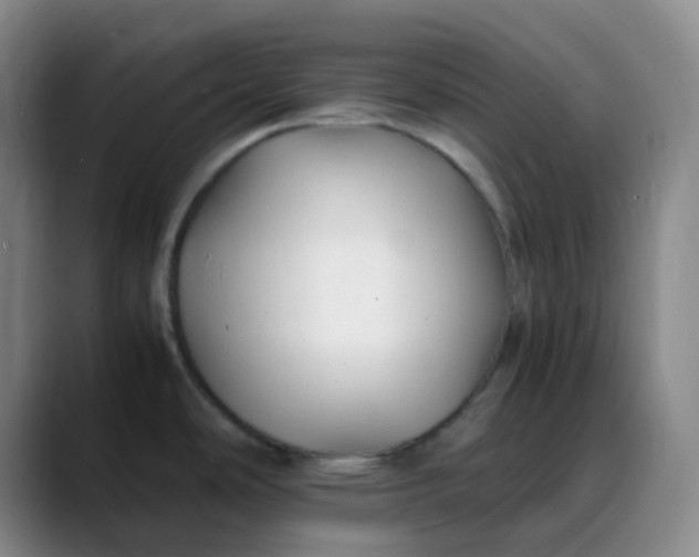 X0000088701486200706141421