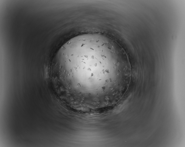 X0000088701490200706141420