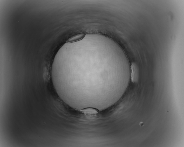 X0000088701491200706141420